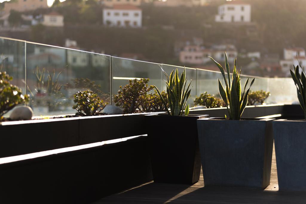 Arts In Penthouse Apartments Til Sol فونشال المظهر الخارجي الصورة